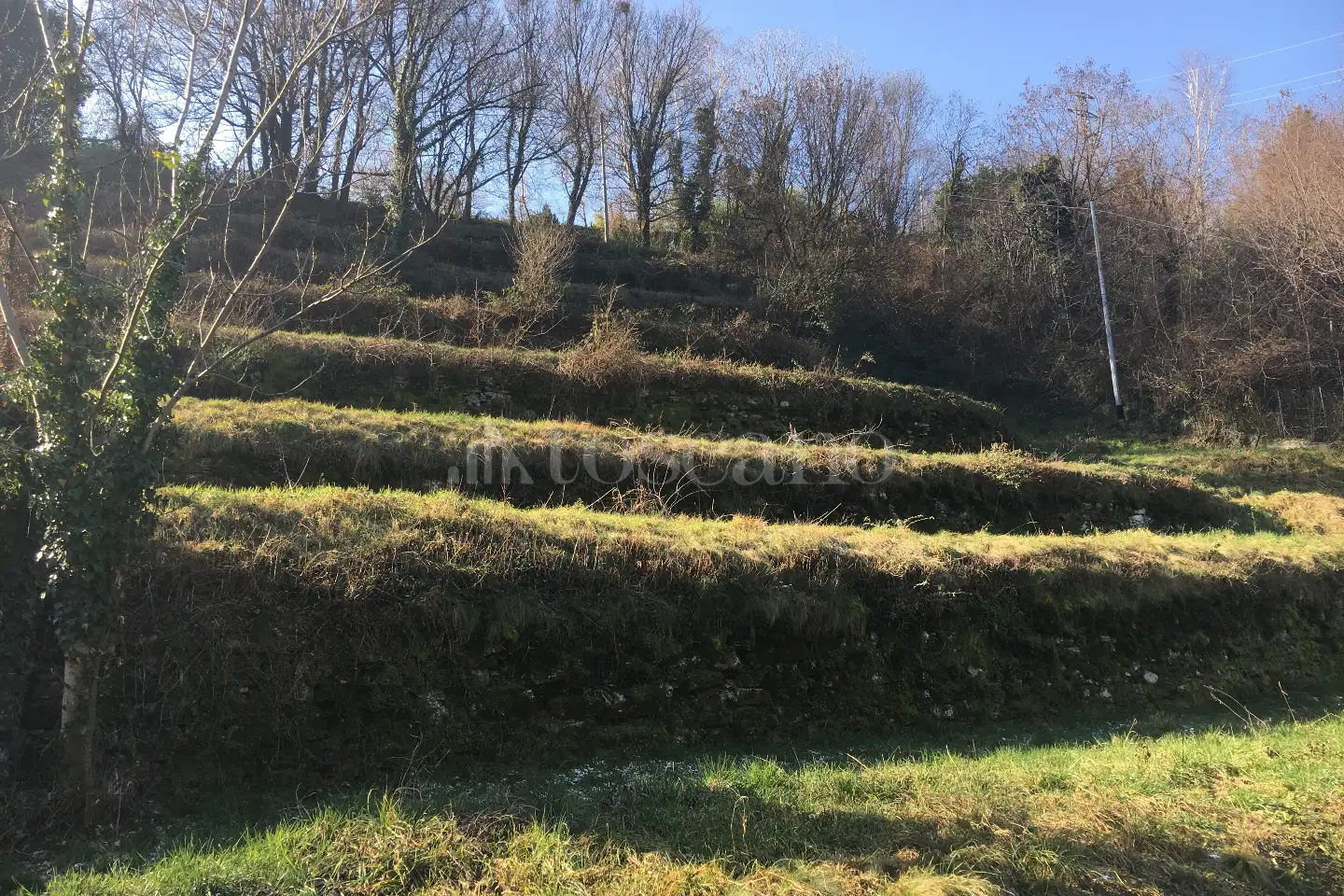 Agricolo in vendita di 2.000 mq a €15.000 (rif. 2/2025)