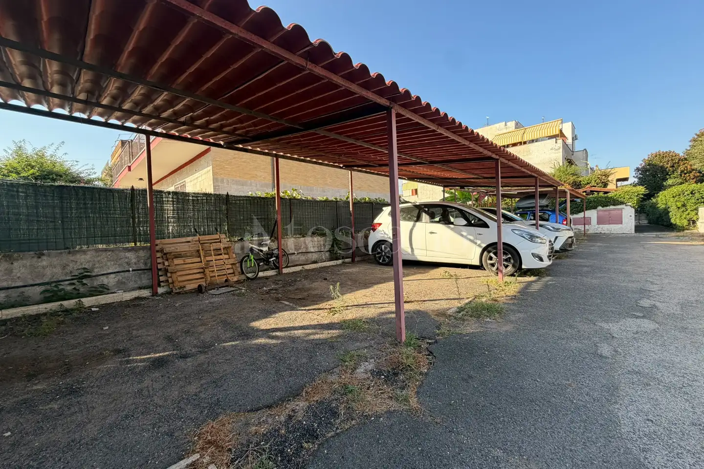 immagine annuncio 11 di 12