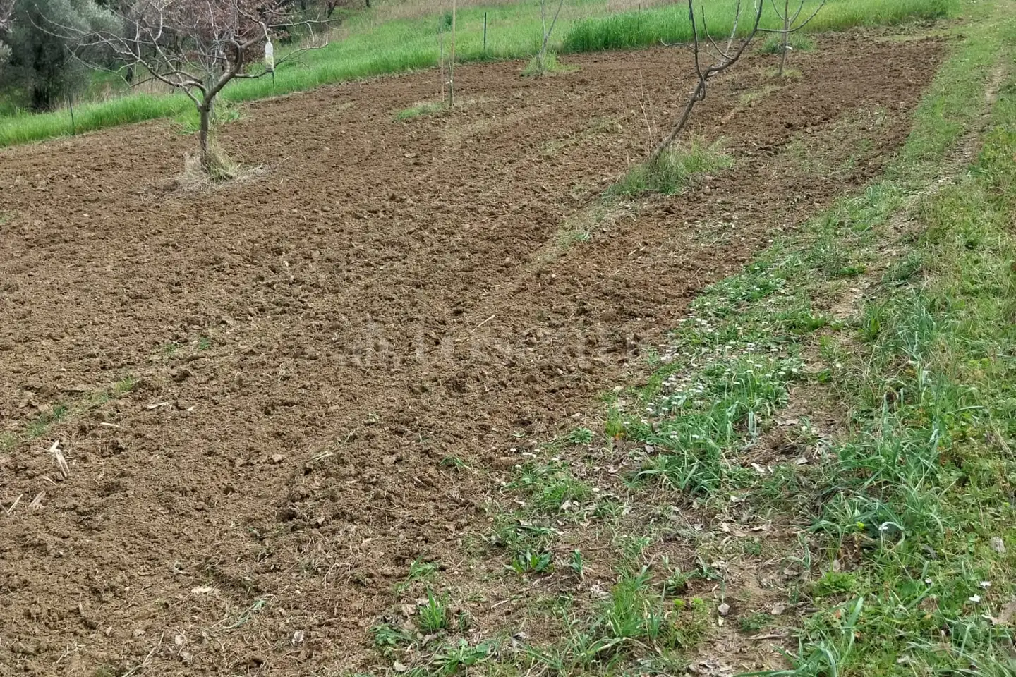 Edificabile Residenziali in vendita di 1.200 mq a €75.000 (rif. 13/2026)