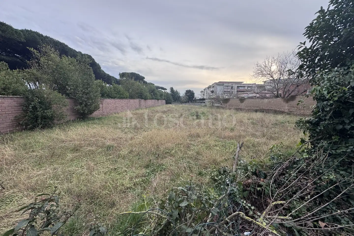 Agricolo in vendita di 1.495 mq a €15.000 (rif. 6/2026)