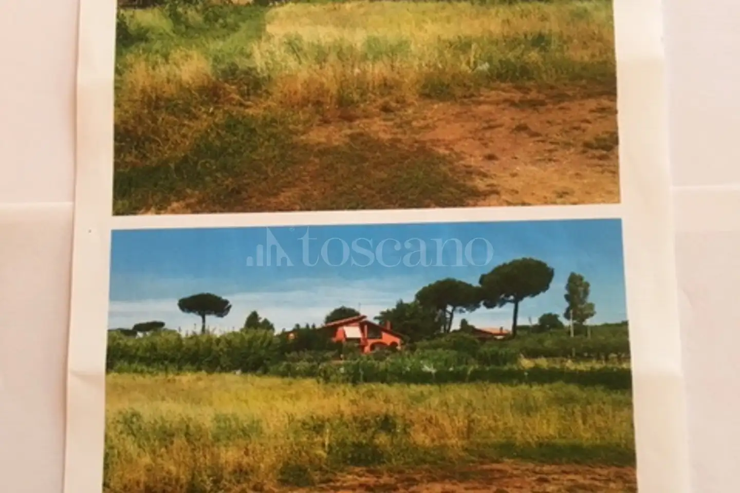 Agricolo in vendita di 1.500 mq a €14.000 (rif. 7/2026)