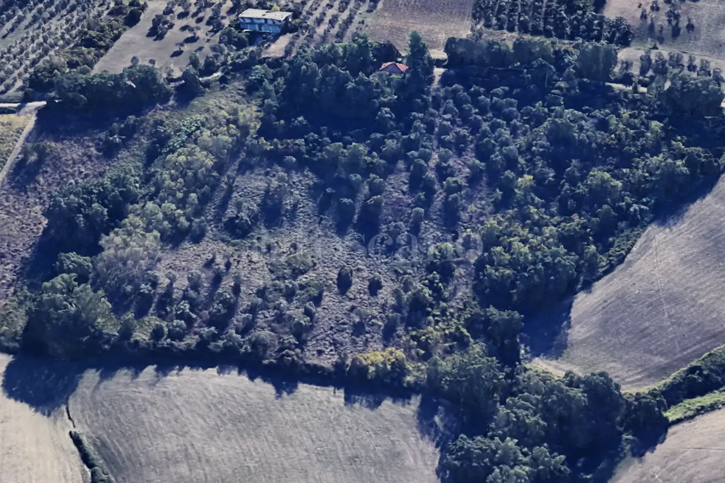 Agricolo in vendita di 24.000 mq a €44.000 (rif. 1/2025)