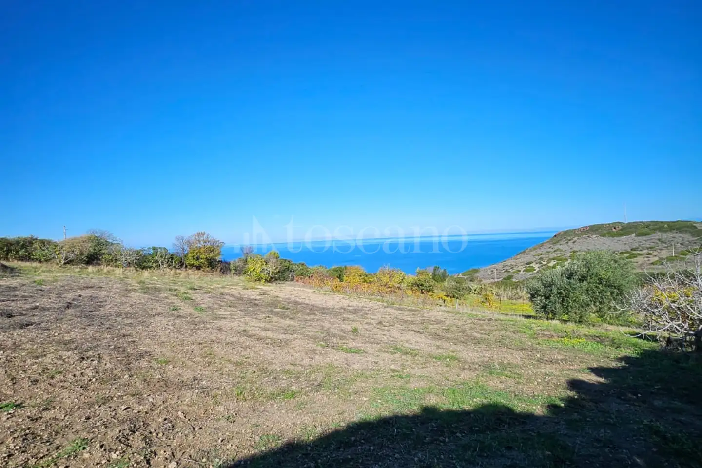 Agricolo in vendita di 5.000 mq a €45.000 (rif. 212/2025)