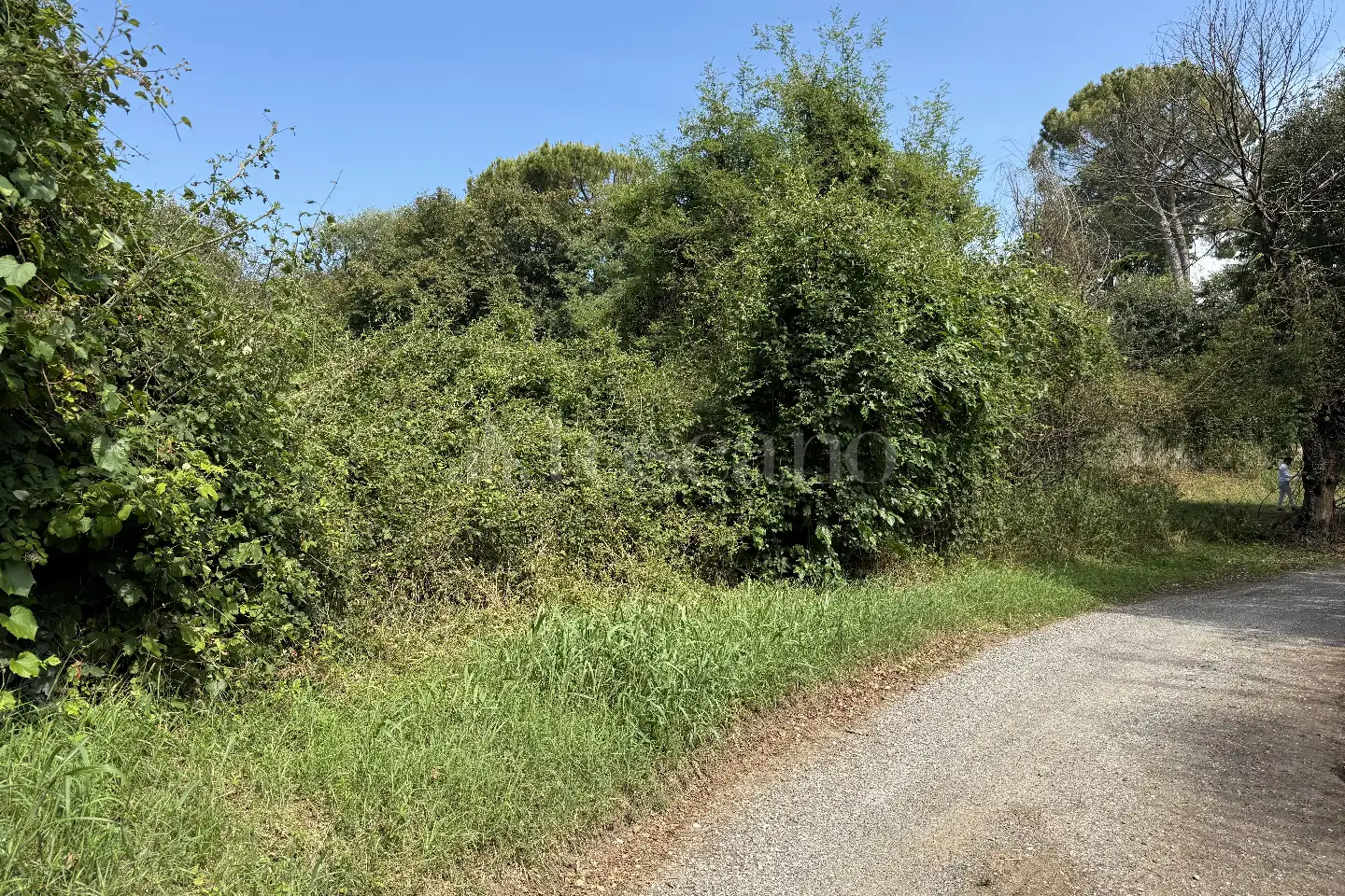 Agricolo in vendita di 3.000 mq a €65.000 (rif. 18/2026)