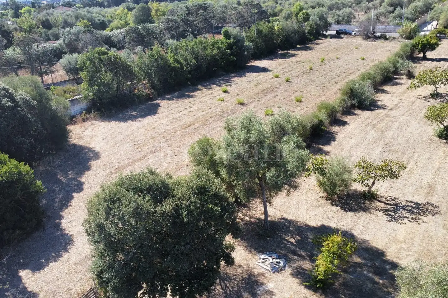 Edificabile Residenziali in vendita di 7.000 mq a €85.000 (rif. 206/2026)