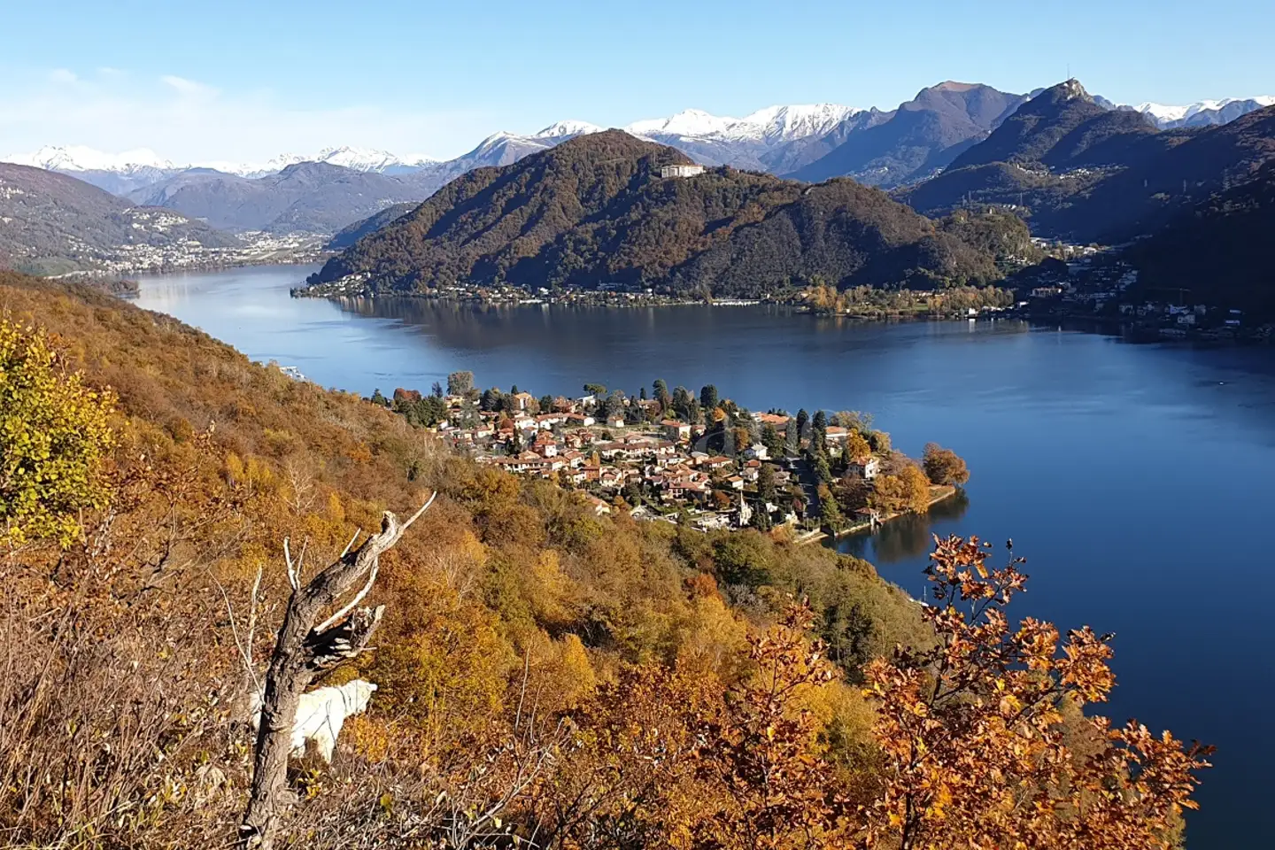 Agricolo in vendita di 180.000 mq a €180.000 (rif. 3/2026)