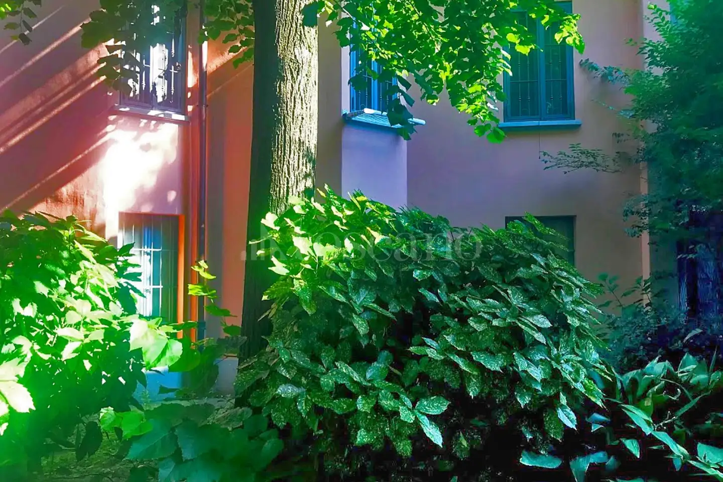 Casa in affitto di 65 mq a €1.300 (rif. 31/2026)