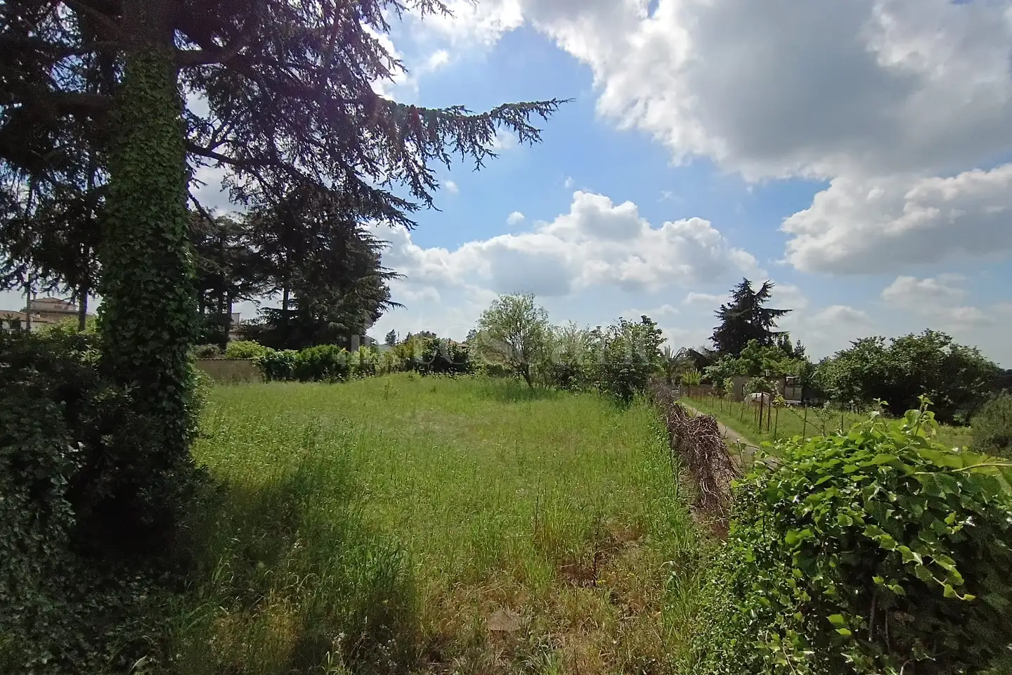 Edificabile Residenziali in vendita di 1.000 mq a €89.000 (rif. 24/2026)