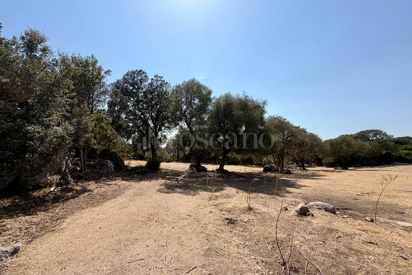 Edificabile Residenziali in vendita di 20.000 mq a €195.000 (rif. 53/2026)