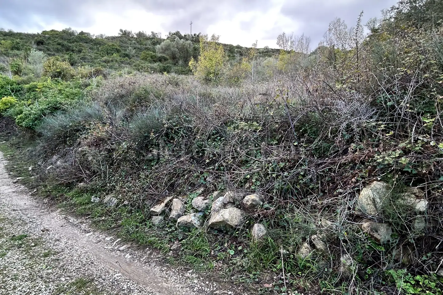 Agricolo in vendita di 4.300 mq a €17.500 (rif. 213/2025)