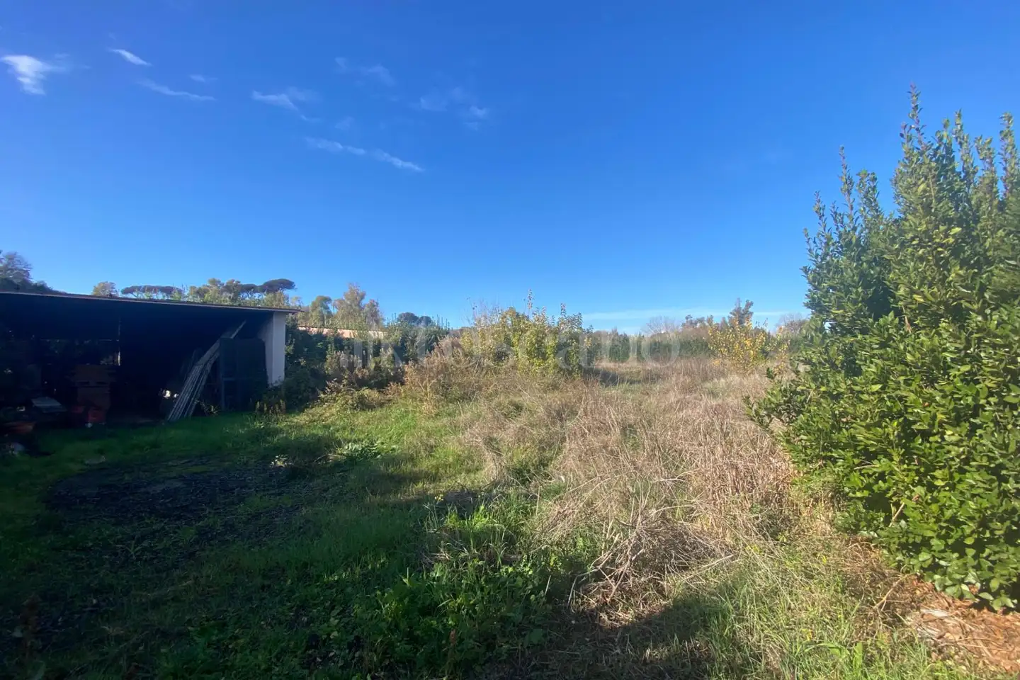 Agricolo in vendita di 1.936 mq a €129.000 (rif. 69/2025)