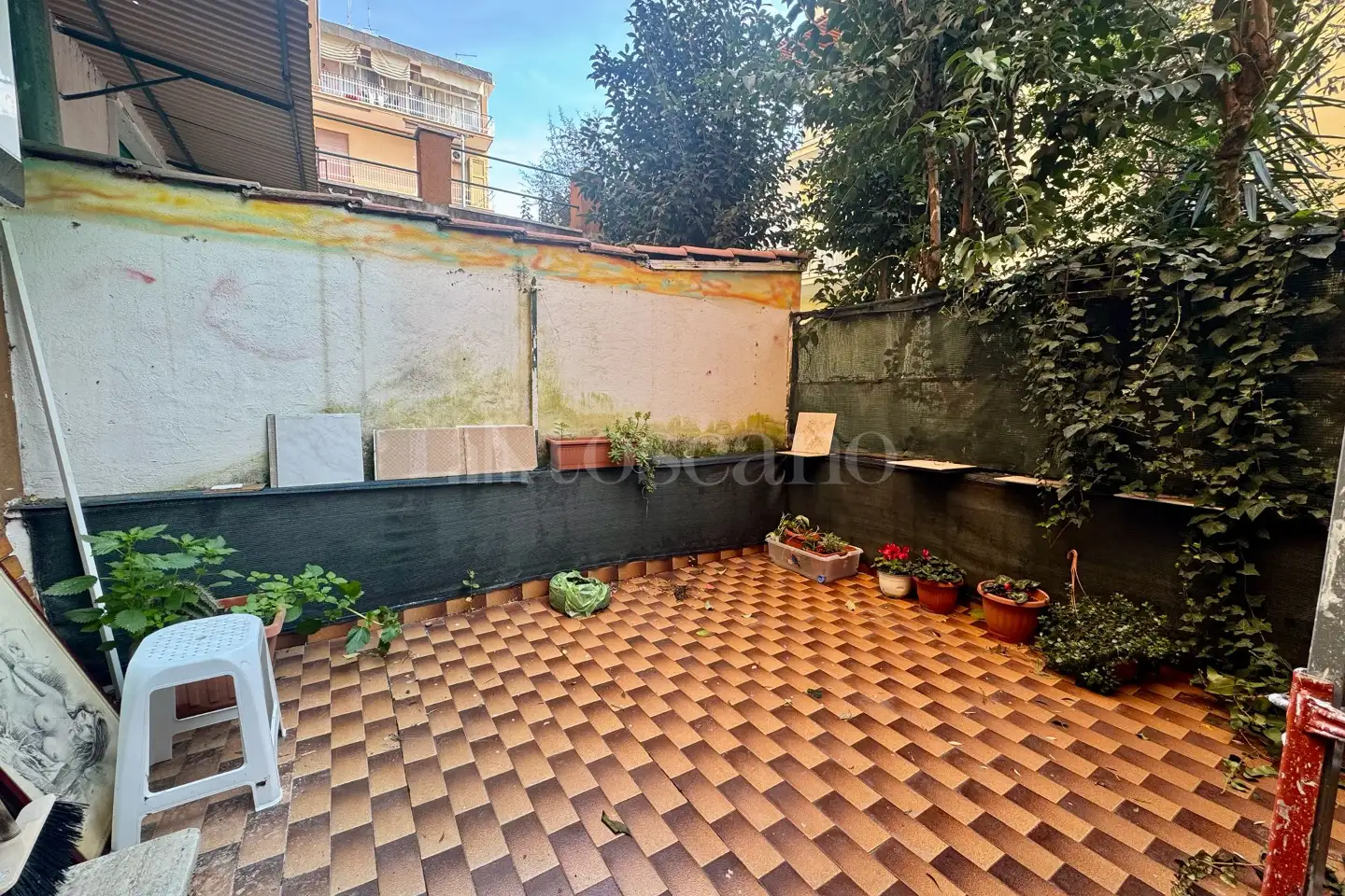 immagine annuncio 4 di 14