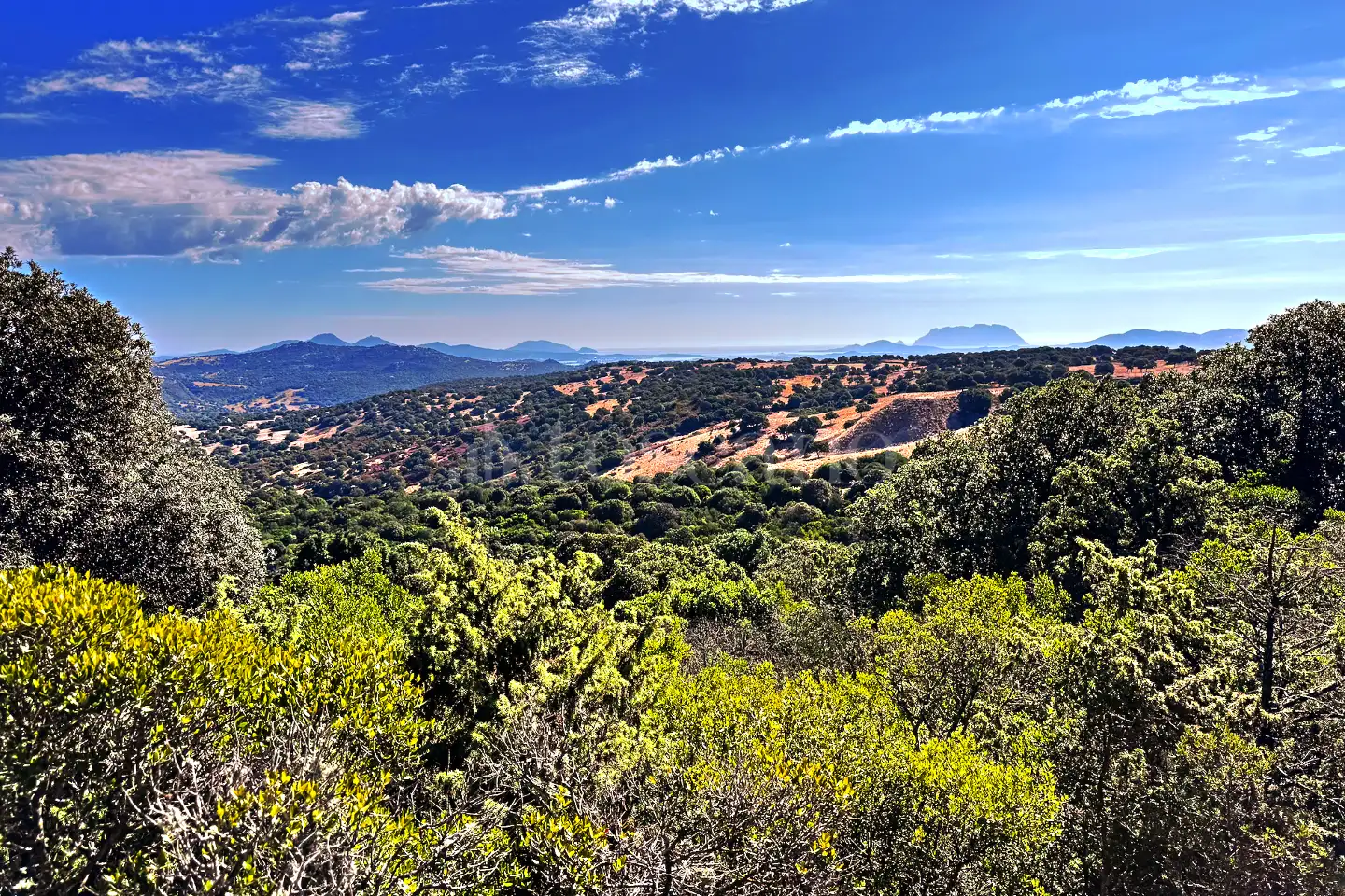 Agricolo in vendita di 75.140 mq a €95.000 (rif. 21/2025)