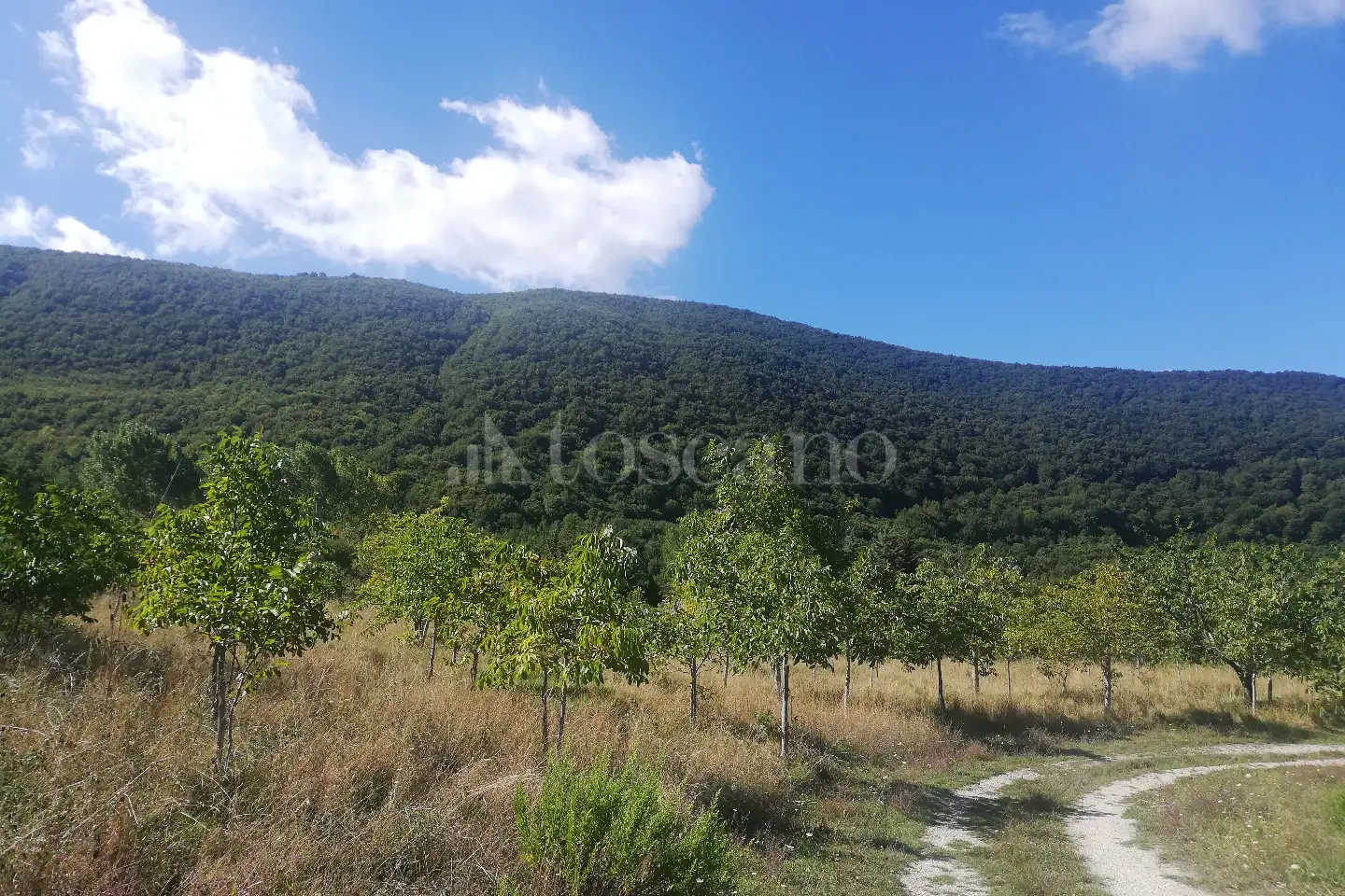 Casa Indipendente in vendita di 520 mq a €100.000 (rif. 20/2022)