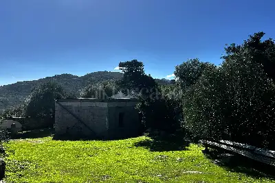Rustico in vendita, Porto Rotondo, Olbia