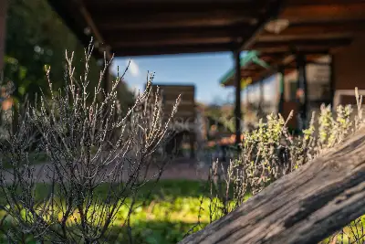 Villa in vendita, Via Lucio Piccolo, Zafferana Etnea