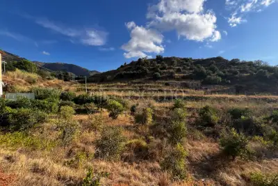 Agricolo in vendita, Via Provinciale per Armo-Gallina, Reggio di Calabria