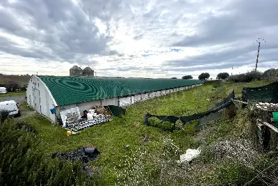 Capannone in vendita, Arlena di Castro, Arlena di Castro