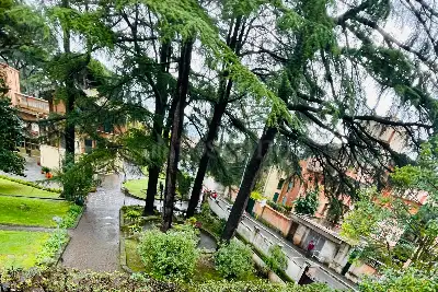 Villino a Schiera in affitto, Via Maffeo Vegio, Roma