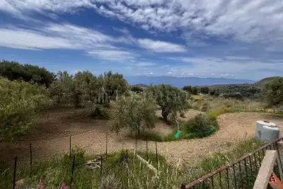 Agricolo in vendita, Motta San Giovanni, Motta San Giovanni