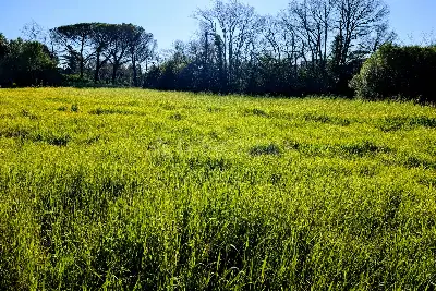 Edificabile Commerciale in vendita, Via Attilio Barriera, Fiumicino