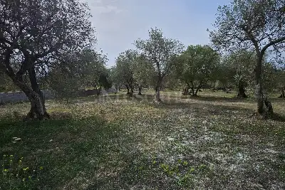 Edificabile Residenziali in vendita, Strada Vicinale Rizzeddu Gioscari 4, Sassari
