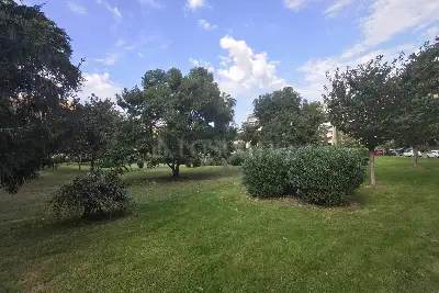 Negozio in vendita, Piazza Bernardo Zamagna, Roma