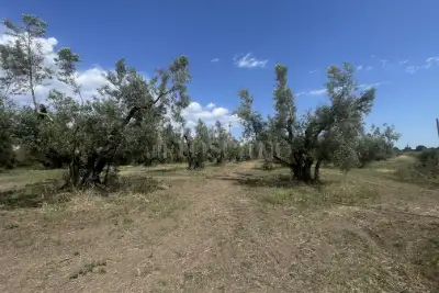 Agricolo in vendita, Strada Cassia Sud, Viterbo