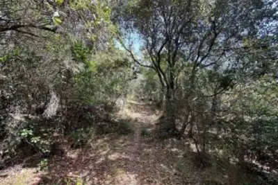 Agricolo in vendita, Telti via Monti Longu., Telti
