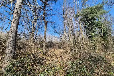 Agricolo in vendita, Via Sant'Agostino, Mariano Comense