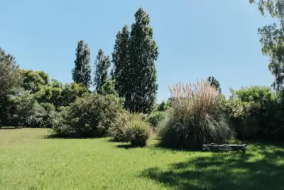 Villa Bifamiliare in vendita, Via Ippia di Elide, Roma