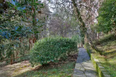 Mansarda in vendita, Via Sette Termini, Cugliate-Fabiasco