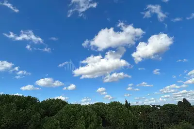 Casa in vendita, Via di Villa Albani, Roma