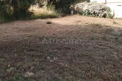 Agricolo in vendita, C/da Casalotto Faro Superiore, Messina