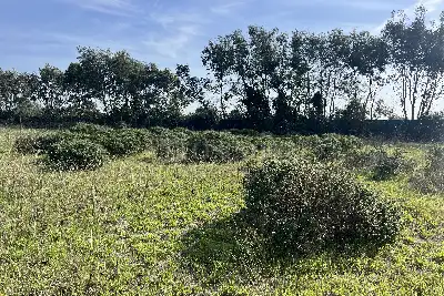 Edificabile Residenziali in vendita, Via Consorzio Focense, Fiumicino