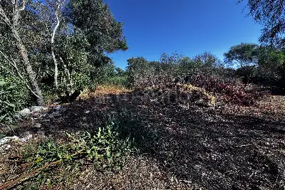 Edificabile Residenziali in vendita, Via Mar Egeo. Pittulongu, Olbia