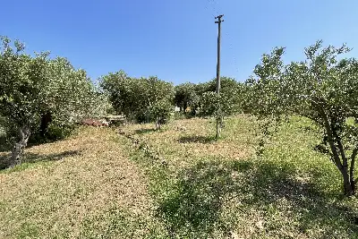 Agricolo in vendita, Piano Torre Spartà, Messina