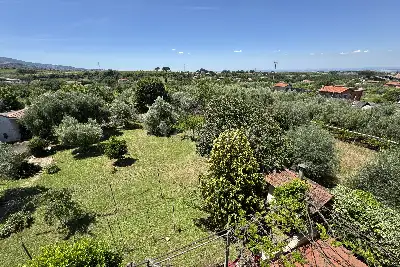 Villa in vendita, via colle cancellata grande , Zagarolo