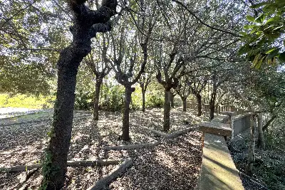 Casa Indipendente in vendita, Via Nettunense, Anzio