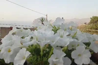 Attico in vendita, via Sabaudia, Valderice