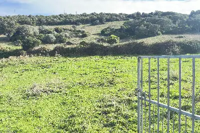 Agricolo in vendita, SANT'ANTONIO DI GALLURA , Sant'Antonio di Gallura