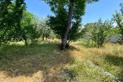 Agricolo in vendita, Traversa Cantone 27, Nola