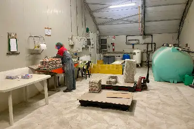 Capannone in vendita, Arlena di Castro, Arlena di Castro