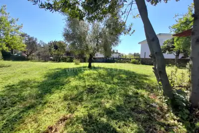 Edificabile Residenziali in vendita, Via Serole, Roma