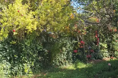 Casa Indipendente in vendita, Strada Macchia Grande, Latina
