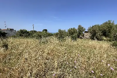 Agricolo in vendita, Piano Torre Spartà, Messina