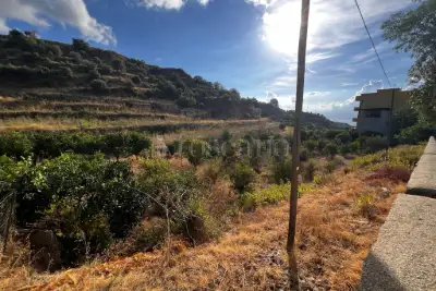 Agricolo in vendita, Via Provinciale per Armo-Gallina, Reggio di Calabria