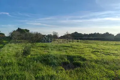 Capannone in vendita, SS16, Brindisi