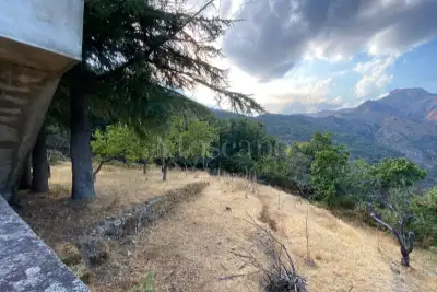 Casa Indipendente in vendita, Itala, Itala