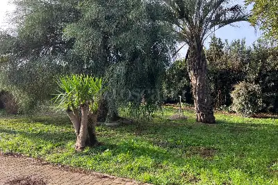 Villa in vendita, Via di Praia a Mare, Fiumicino